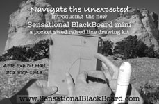 Student Using the Sensational Blackboard